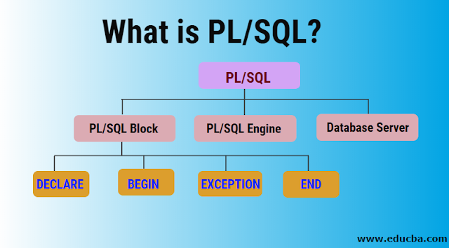 Kiến trúc của PL/SQL 