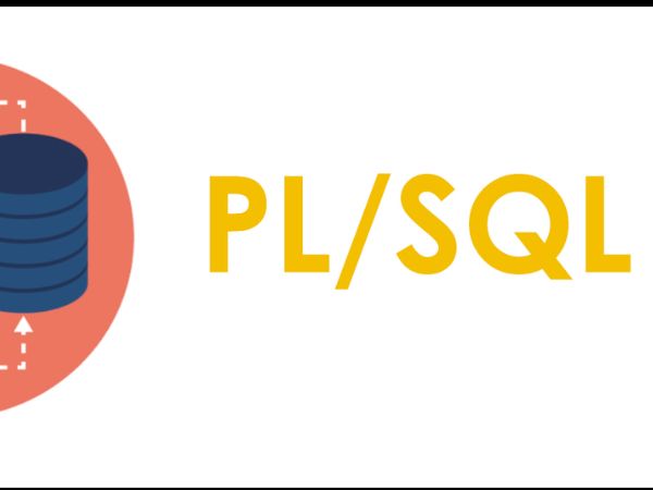 PL/SQL là gì ?