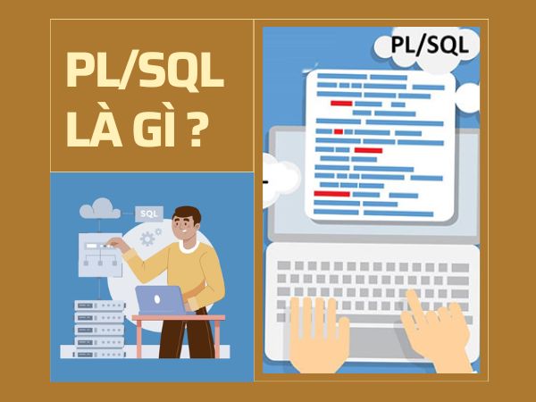 PL/SQL là gì? Tìm hiểu chi tiết về PL/SQL