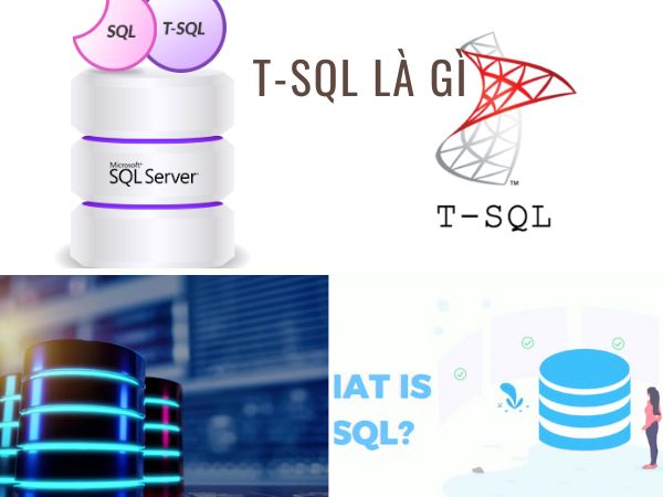 T-SQL Là Gì? Tìm Hiểu Ngôn Ngữ T-SQL Chi Tiết